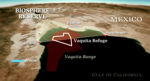 map-vaquita-range