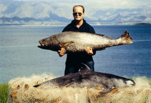 totoaba vaquita